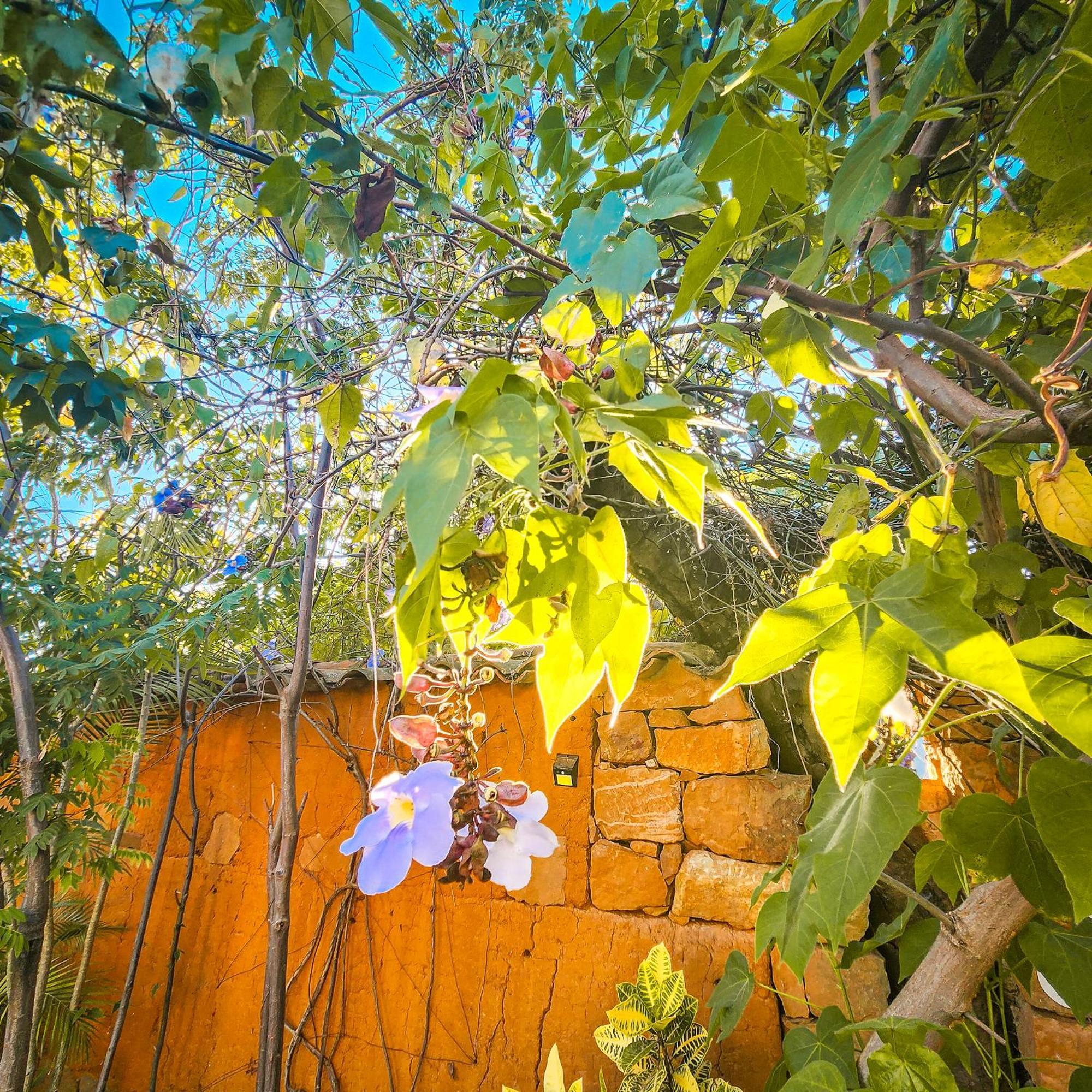 Hotel Casa Canela Barichara Exterior photo