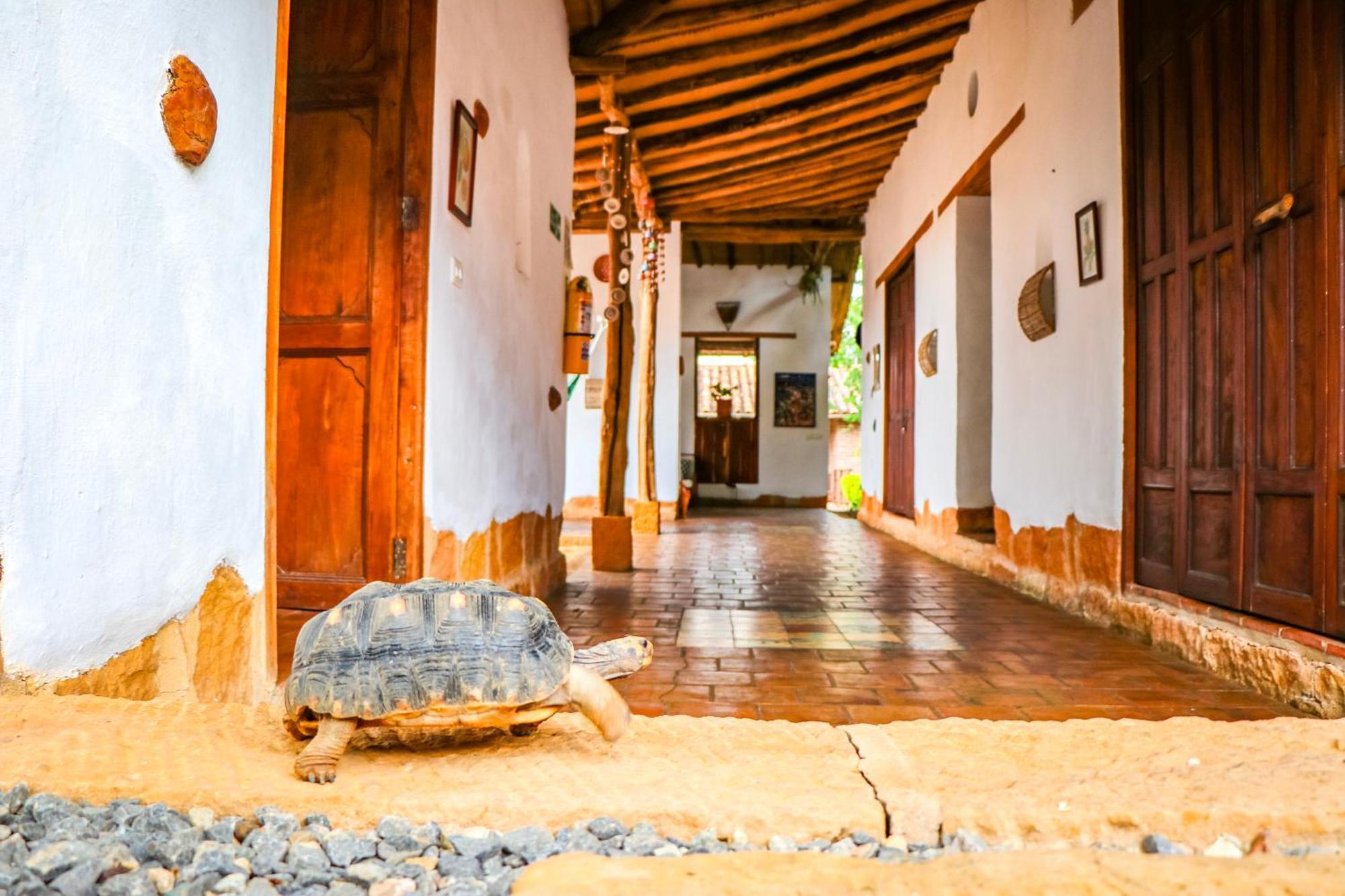 Hotel Casa Canela Barichara Exterior photo
